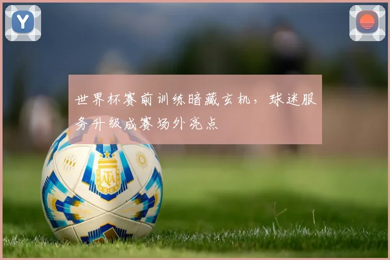 世界杯赛前训练暗藏玄机，球迷服务升级成赛场外亮点